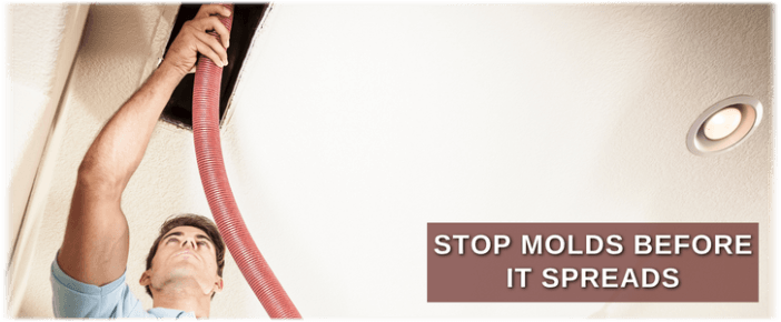 Air Duct Mold Removal in Chandler