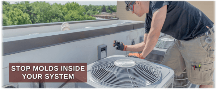 HVAC Mold Removal Chandler